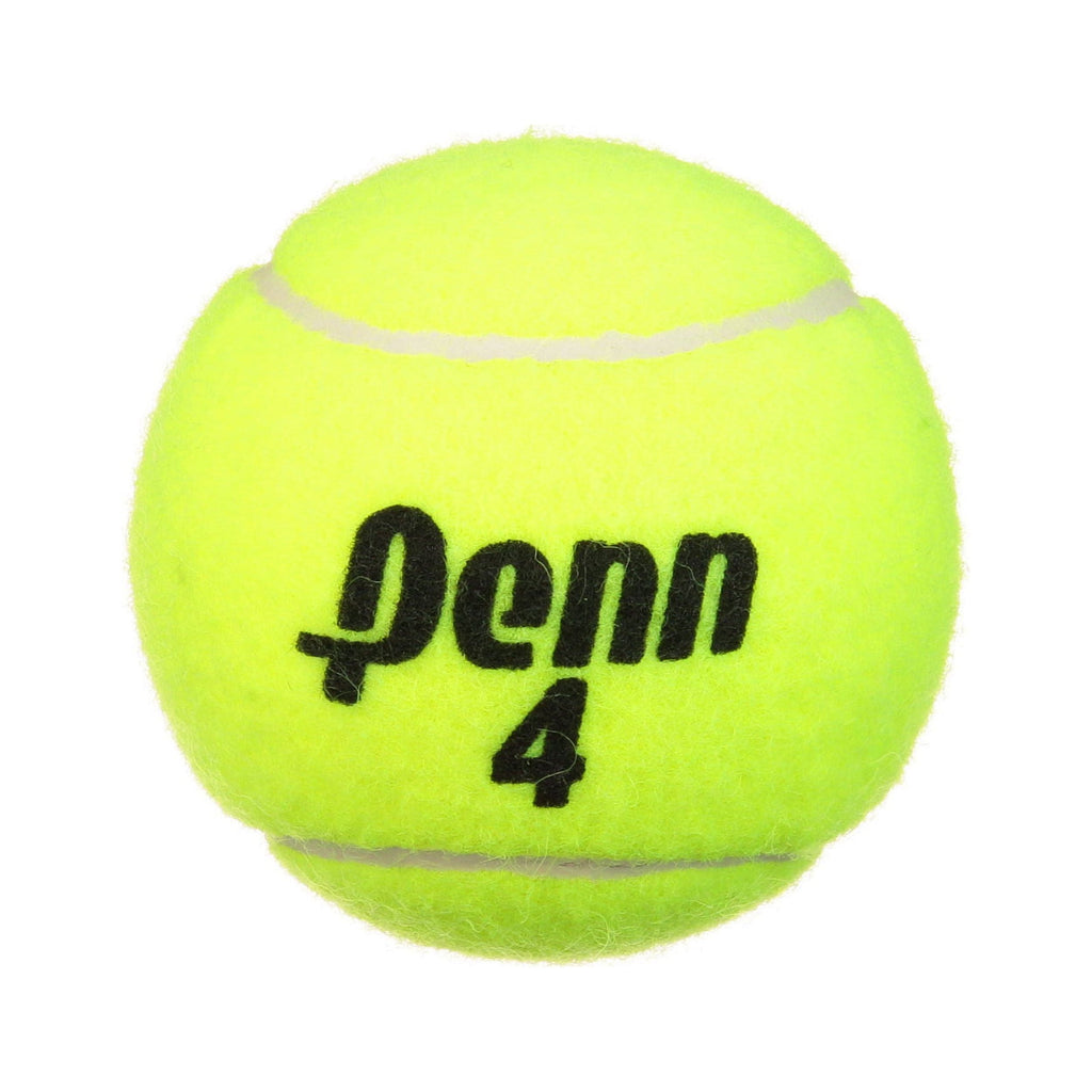Penn Championship Extra Duty High-Altitude Tennis Ball Can (3 Balls)