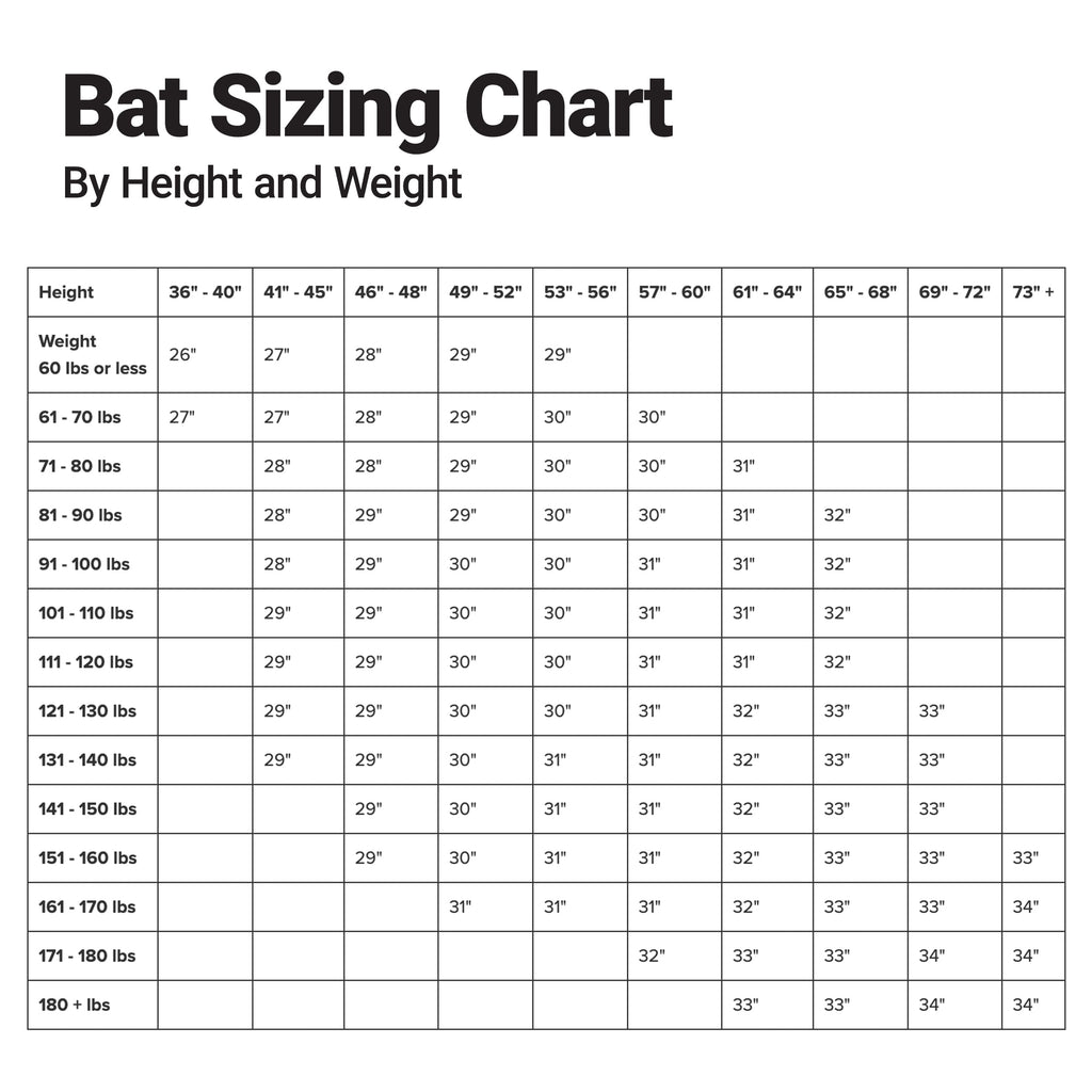 Rawlings Wicked Youth Baseball Bat, 28 inch (-10 Drop Weight)
